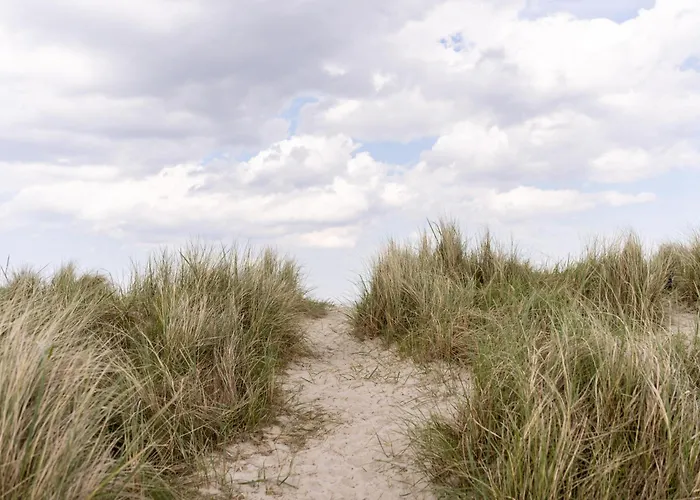 Heimathafen 48 2 S Schillig